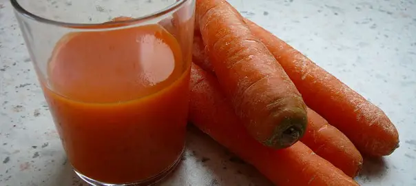 can guinea pigs drink carrot juice